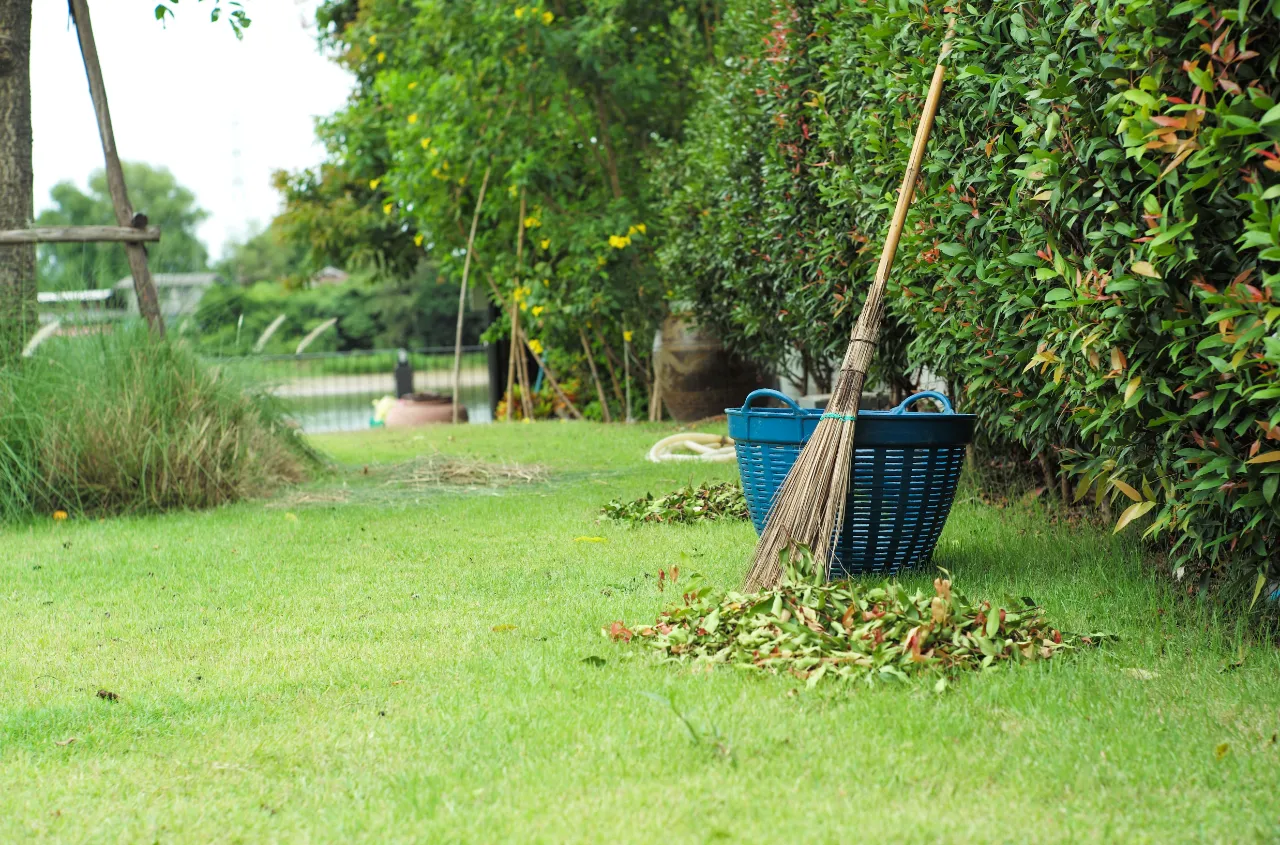 Yard waste removal Connecticut — Pomito Junk Removal